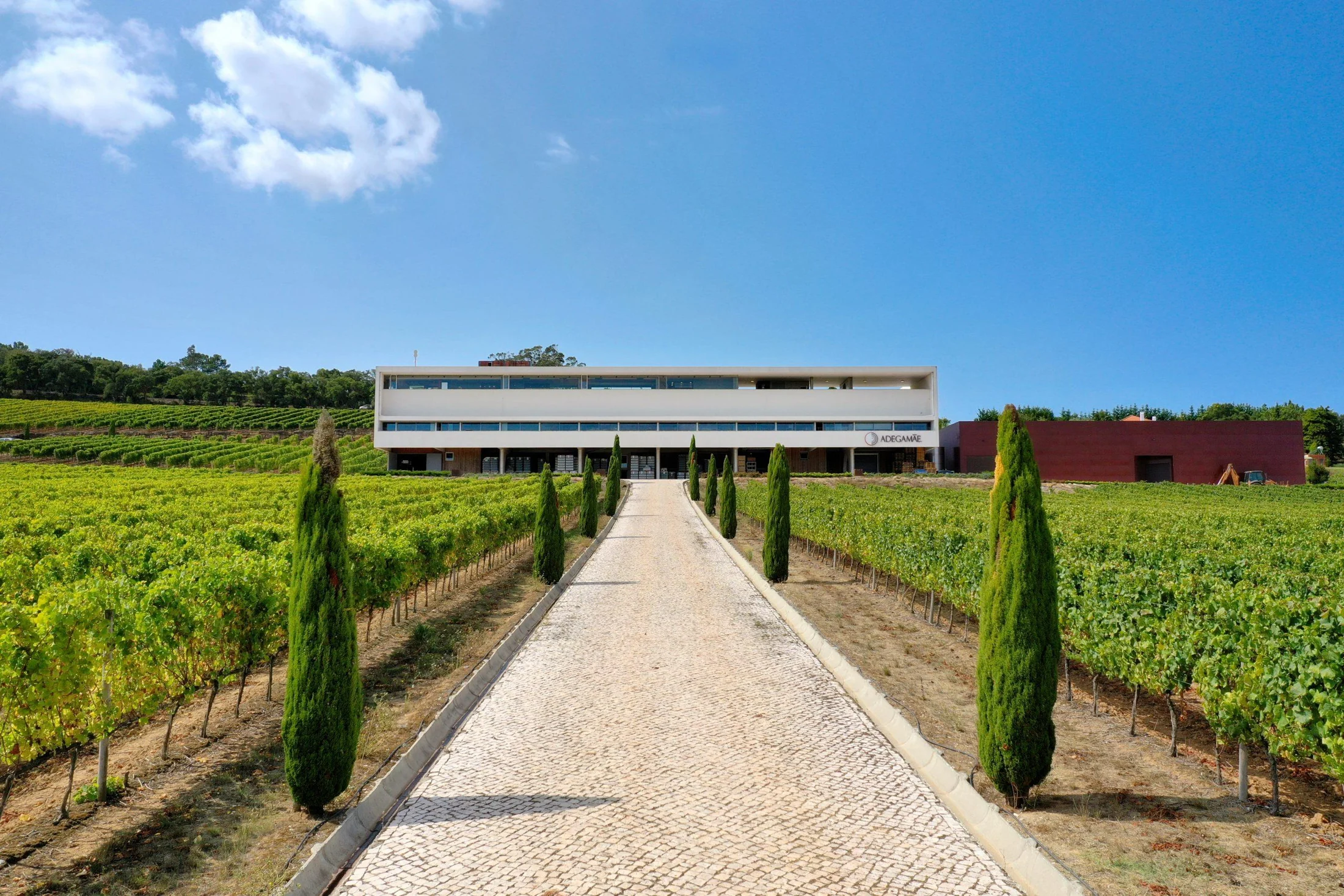 The Adega Mãe winery and vineyard in the region around DOMA