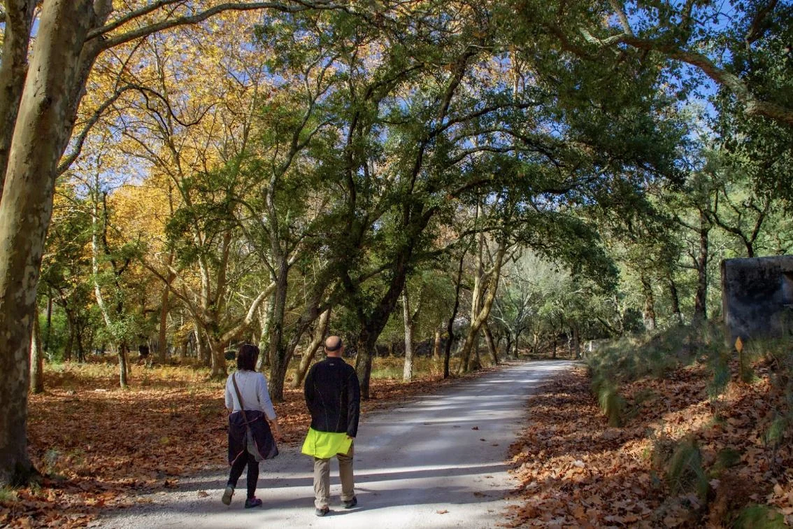 Two visitors walking a wooded trail in Tapada Nacional de Mafra